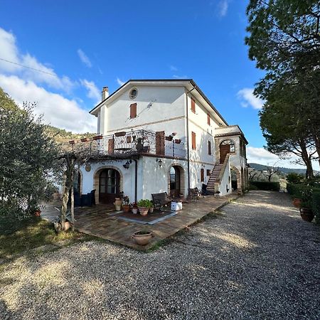 Апартаменты Casa Vacanze Cristina - Holiday House Рипатрансоне Экстерьер фото